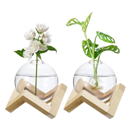 M METERXITY 2 Pack Glass Planter Terrarium with Wooden Stand, Desktop Plant Propagation Station Bulb Vase for Hydroponic Plants Propagation/Home Garden Decor/Plant Lover [Transparent] - color: Transparent