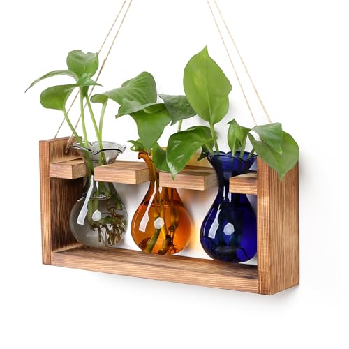 Plant Propagation Station Plant Terrarium Unique Birthday Gifts for Women - color: Color03