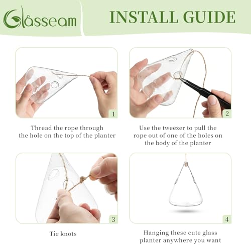 Glasseam Hanging Plant Propagation Station: 5Pcs Small Glass Terrarium Jars