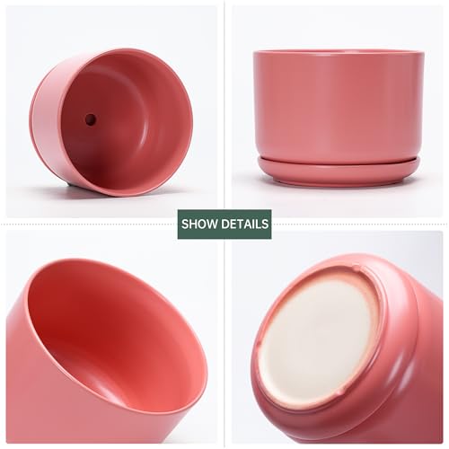 Ceramic Plant Pots,Planters with Drainage Hole&Saucer 3 Pack(Matte Orange) - color: Matte Orange