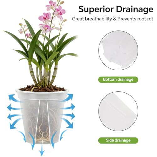 6/8/10/12 Inch Large Clear Nursery Deep Pots with Drainage Hole 12 Pack, Deep Plant Pots with Drainage for Seedling Flower Vegetable, Ideal for Hyacinths, Amaryllis, Reusable Deep Pots