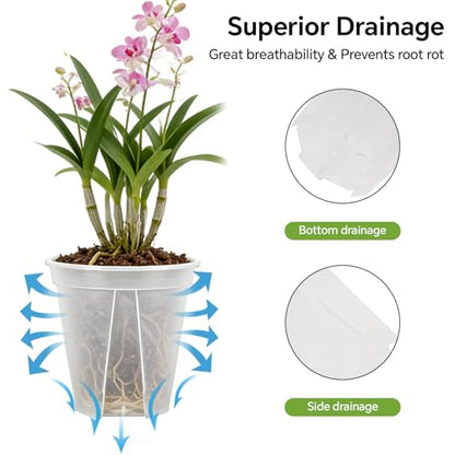 6/8/10/12 Inch Large Clear Nursery Deep Pots with Drainage Hole 12 Pack, Deep Plant Pots with Drainage for Seedling Flower Vegetable, Ideal for Hyacinths, Amaryllis, Reusable Deep Pots
