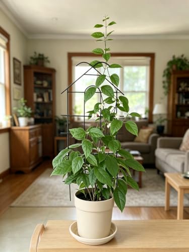 26" Trellis for Potted Plants Indoor, Sturdy Plant Support, 2 PCS