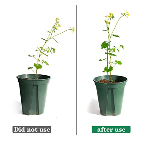 4 Pack Plant Stakes,Plant Support Stakes for Two Sizes(16 or 32 Inches) - size: 4