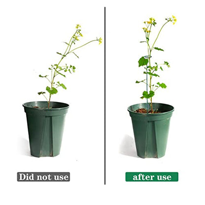 4 Pack Plant Stakes,Plant Support Stakes for Two Sizes(16 or 32 Inches) - size: 4