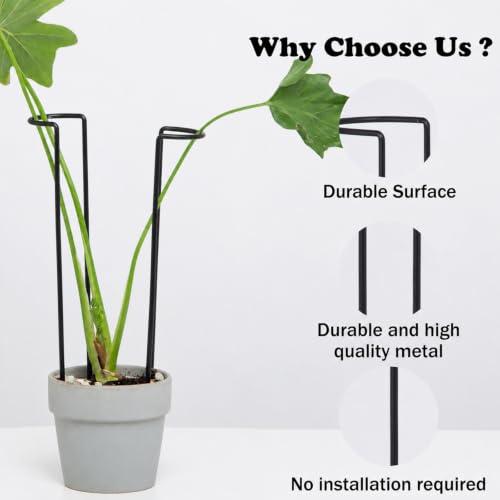 10Pcs Monstera Plant Support - 12" Durable Iron U-Shaped Trellis Stakes - color: Black, size: 12 Inch H