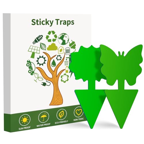 Fruit Fly Traps, 100 Pack Green Sticky Traps, Fungus Gnat Traps, Plant Fly Stickers for Indoor and Outdoor Use Protect The Plant - color: Green, size: 100 Pack