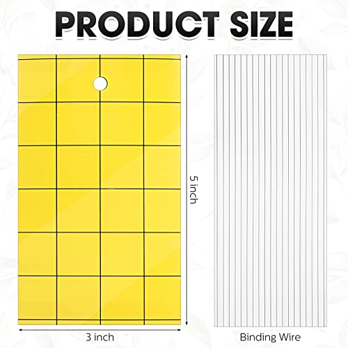 Qualirey 600 Pcs Sticky Trap for Gnats 3 x 5'' Dual Side Sticky Fruit Fly Trap with Tie Plant for Flying Insect Fungus Bugs Flying Catcher for Indoor (Yellow)