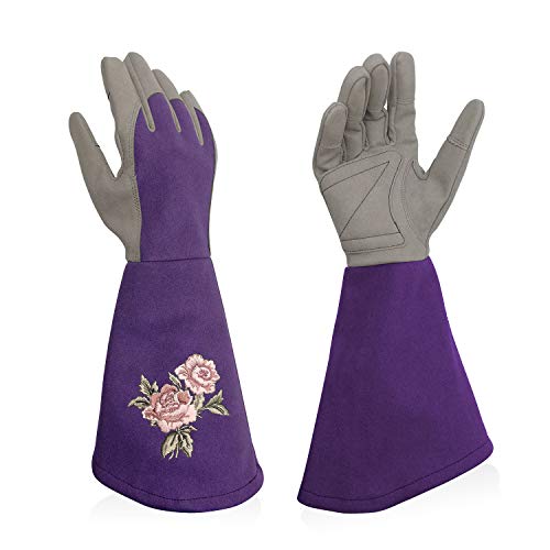 Rose Pruning Gloves with Forearm Protection, Thorn Resistant - color: Purple, size: Large (Pack of 1)
