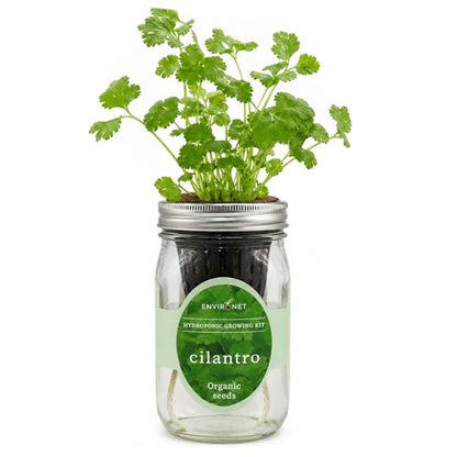 Hydroponic Herb Growing Kit, Self-Watering Mason Jar Window Herb Garden Starter Kit Indoor, Grow Your Own Herbs from Organic Seeds (Cilantro) - color: Cilantro