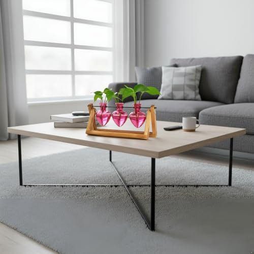 XXXFLOWER Plant Terrarium Propagation Stations 3 Heart Shaped Vases - size: 3 Heart Vase