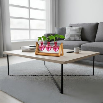 XXXFLOWER Plant Terrarium Propagation Stations 3 Heart Shaped Vases - size: 3 Heart Vase