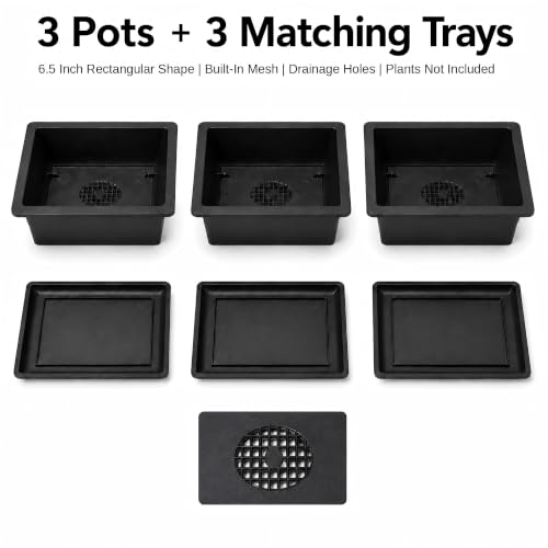 Bonsai Pots 3 Pack, 6.5 Inch Plastic Bonsai Training Pots with Trays - size: Small
