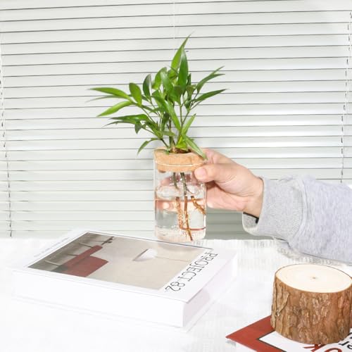 Separated Desktop Glass Flower Vases - Ideal Plants Propagation Stations for Living Room, Bedroom Decoration,Home Decor (2)