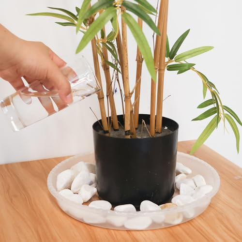 Plant Saucer 6 Pack of 12 inch,Drip Tray, Heavy-Duty Flower Pot Trays, Plant Pot Saucers 12" - color: Clear, size: 12"(6Pack)