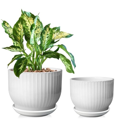 Ceramic Plant Pots,6.7 + 5.5 Inch,White - color: Pure White