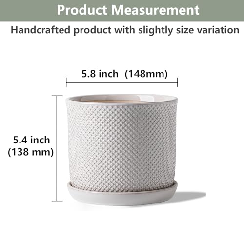 5.8 Inch Ceramic Planter with Drainage Hole & Bonded Saucer - color: Beaded Embossed, size: 6 inch