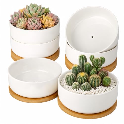 ZOUTOG 6 Pack 6" Ceramic Succulent Pots, White Planters with Drainage Tray - color: 6 Pack, size: 2.28 Inch High