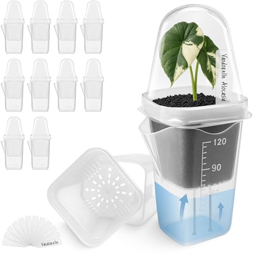 12 Pack 2" Small Clear Self Watering Pots with Humidity Dome for Indoor Plants, Seed Starter Cups, Tissue Culture Acclimation Kit,Alocasia Corm Propagation,African Violet,Cuttings,Seedlings - color: Frosted Clear, size: 2"