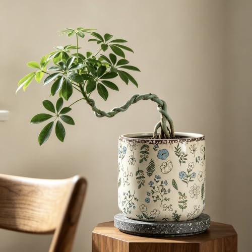 Ceramic Pots for Plants, 5.5 Inch Cylinder Flower Pot with Drainage Hole, Rustic Decorative Plant Pot for Succulents, Flowers, Indoor Outdoor Garden Home Office Decor (Medium) - size: Medium