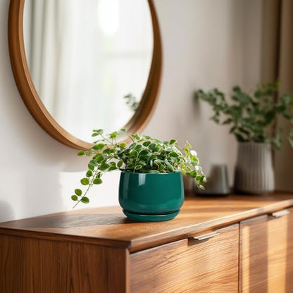 G EPGardening 4 inch Plant Pots, Small Ceramic Planter, Green - color: Blackish Green, size: 4 Inch