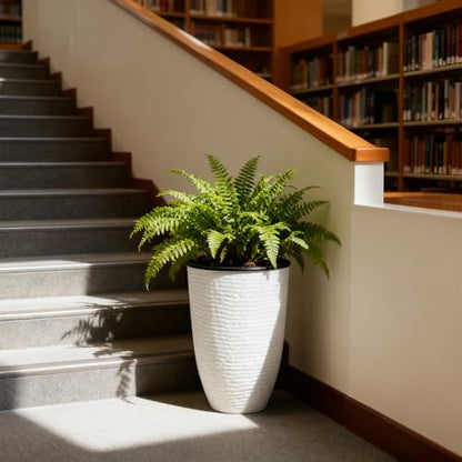 Worth 21" H White Tall Planters with Inside Pots, 2-Pack Large Plant Pots - color: White