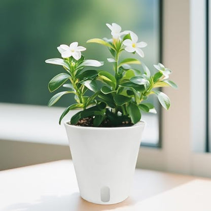 TCBWFY 4 Inch Self Watering Pots for Indoor Plants,8 Sets Self Watering Planter Pots with Visual Water Level Window and Multiple Vents,Self Watering Plant Pot for All House Plants,Flowers,Herbs - size: 4 Inch - 8 Sets