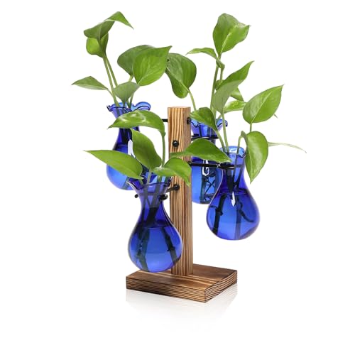 Plants Propagation Stations Bulb Glass Propagation Birthday Gift for Women - color: Blue