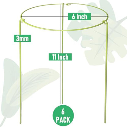 6-Pack Heavy Duty Plant Stakes and Supports for Indoor Outdoor Plants, Metal Support Stakes & Cage Rings, Ideal for Monstera, Peonies, Roses (6" W x 11" H) - size: 6"W x 11"H, 6-Pack