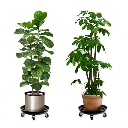 Choclaif Plant Caddy with Wheels,2 Pack Black Heavy Duty Plant Stand with Universal Wheels,Round Pot Trolley for Indoor (12) - size: 12