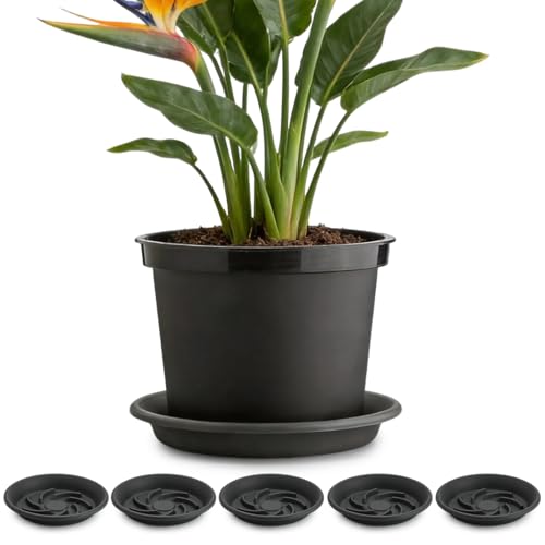 13 Inch Plant Saucers for Pots 5P, Pot Elevator for Grow Bags Drip Trays - size: 13IN-5P