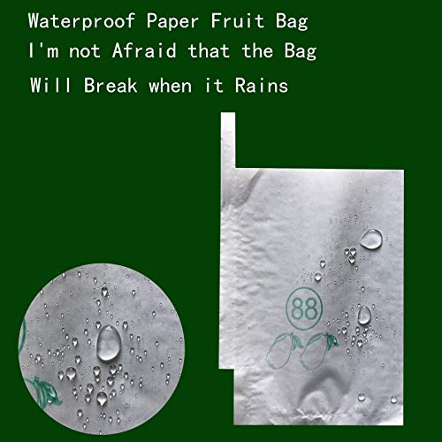 Fruit Protection Bags 100pcs Eco-Friendly Paper Cover Bags 7.8X11inch, Fruit Bags for Fruit Trees, Orchard, Trees, Frost, Plants (20 x 28 in)… - size: 22x26 cm