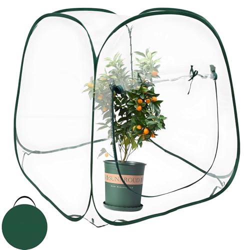 Plant Mini Greenhouse Pop Up Greenhouse Covers, Transparent Freeze Protection PVC Tent with Roll-up Zipper Entry Doors for Indoor and Outdoor Gardens Protecting Plant from Cold Frost (PVC, 39x39x39in) - size: 39x39x39in