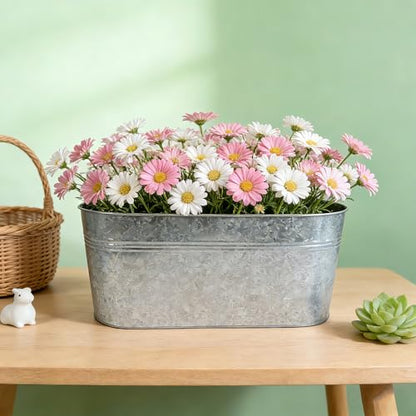 2 Pack 17" Galvanized Hanging Railing Planters with Hooks and Drainage - size: 17 Inch