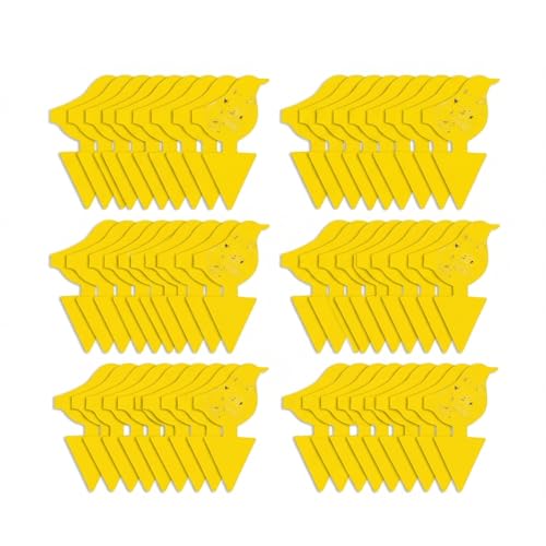 Kate's Home & Garden 60 Count Fruit Fly Traps for Indoors and House - size: 60