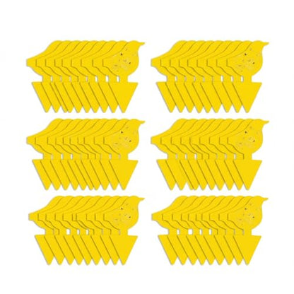 Kate's Home & Garden 60 Count Fruit Fly Traps for Indoors and House - size: 60