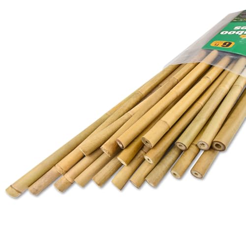 Jollybower 20pcs 5/8" D Thicker Heavy Duty Bamboo Stakes, 6FT Plant Stakes, Natural Garden Stakes for Tomato, Bean, Flowers,Trees Potted and Climbing Plant Support - size: 6Ft, Pack of 20