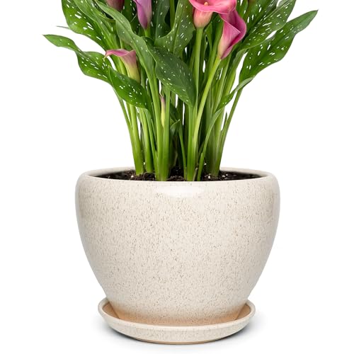 9.5 Inch Ceramic Plant Pot with Drainage Hole Mesh Net,Modern Gardening Pots for Indoor Plants with Saucer, Silk White - color: Silk White, size: 9.5 Inch
