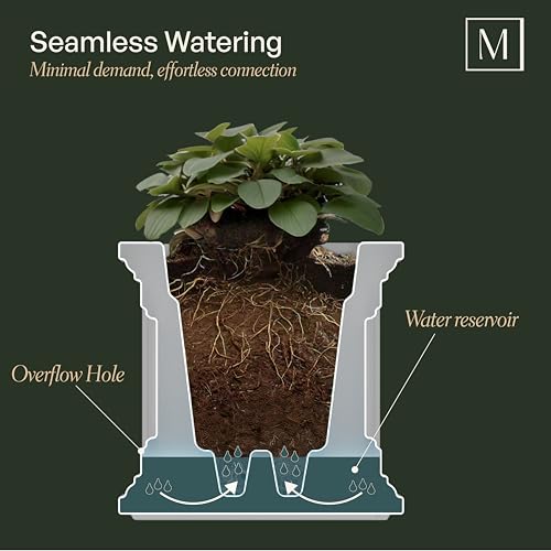 Mayne Cape Cod 24in Self-Watering Rectangular Planter, Black - color: Black, size: 24in x 11in