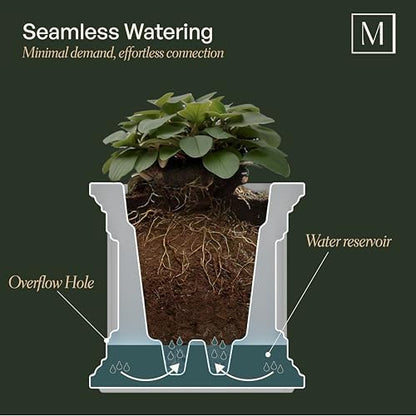 Mayne Cape Cod 24in Self-Watering Rectangular Planter, Black - color: Black, size: 24in x 11in