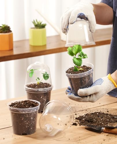 homenote 3 Inch Nursery Pots with Humidity Domes for Seed Starting (30 Pcs) - color: Transparency-with Lid, size: 3 Inch-30 Pack