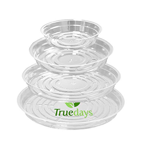 TRUEDAYS 20 Pack Plant Saucers (6 inch / 8inch / 10inch / 12inch) Clear Plant Saucers Flower Pot Tray Excellent for Indoor & Outdoor Plants - size: 6,8,10,12Inch