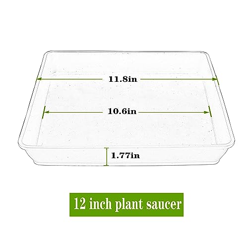 LWALRS 5 Pack Square Plant Saucer 12 Inch, Plastic Plant Water Dray Tray, Flower Pot Saucers, Square Planters for Indoors and Outdoors，Plants Saucer for Plant Pots. - color: White, size: 12"(5 pack)