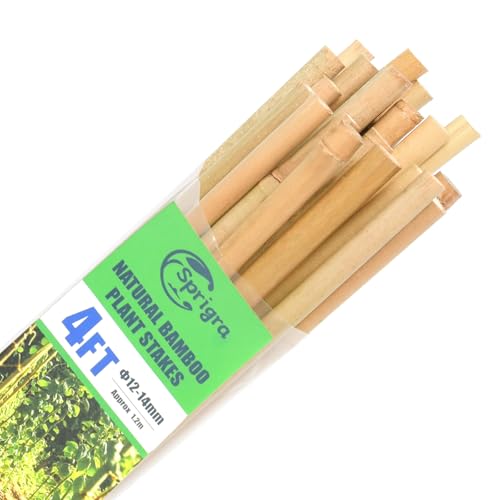 30pcs Bamboo Stakes 4FT, 1/2" D Thicker Garden Stakes Multi-Purpose, Plant Stakes for Tomatoes, Beans, Cucumbers, Peppers, Flowers, Potted, Maintain the Plant Posture, Strengthen and Stem - size: 4FT,Pack of 30