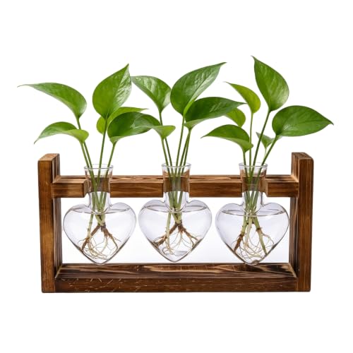 Plant Terrarium Propagation Stations with Heart Hydroponic Vase