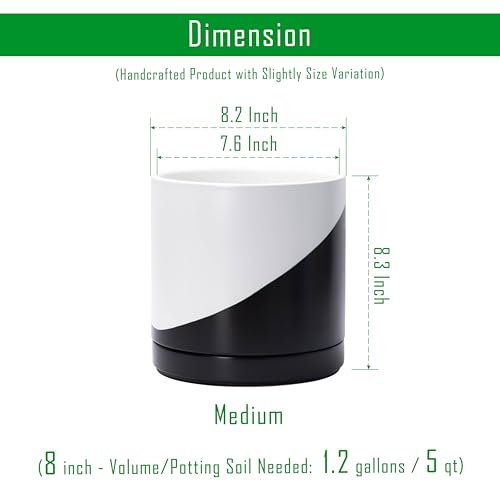 D'vine Dev 8.2 Inch Ceramic Planter Pot, Black White Diagonal, 94-O-D-K - color: Oblique Monochrome Black & White, size: Medium