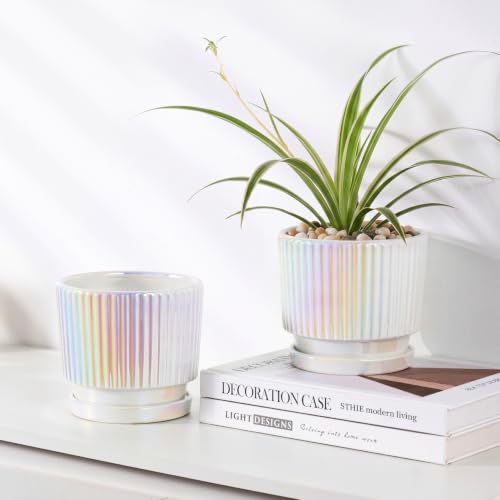 Pearl Plant Pots, Ceramic Flower Pots with Drainage Holes & Saucer Set of 2 - color: 02-brightly White