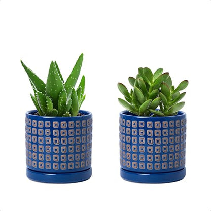D'vine Dev Set of 2 Ceramic Planter Pots with Drainage Hole and Saucer, 4.5 Inch Plant Pots for Plants Indoor Houseplants, Blue, 99-Z-A-6-V - size: 4", style: Geometric Blue