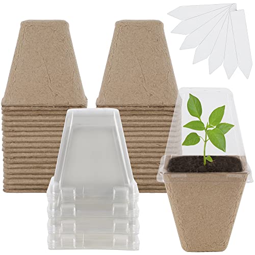 winemana Seed Starter Peat Pots,Biodegradable with Humidity Dome and Labels For Plant Nursery, Seedlings Planting For Indoor Outdoor Garden (Square)36 Set - size: Square
