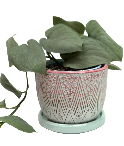 Plant Pots with Drainage 3 Inch Diameter Home Decor Indoor Ceramic Wide Planters with Saucer for Live Plants Outdoor Houseplants for Home Office Wedding Birthday Gift (Pacific) - color: Pacific